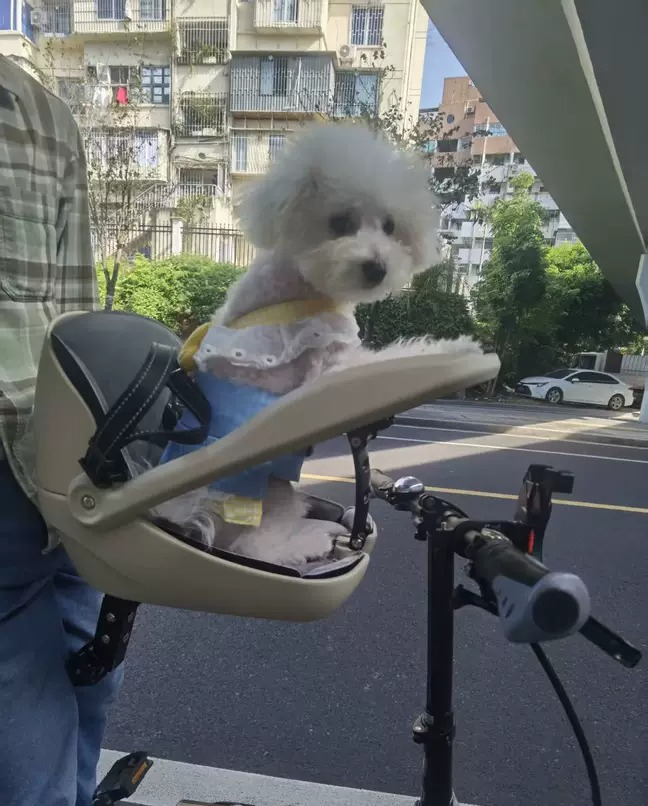 Suitable for folding bicycles, - огляд і ціна Mountain Biking With Dog